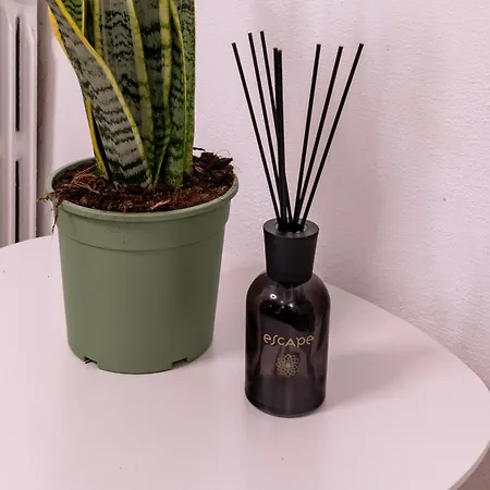 Ca'lina Near Biennale アパート