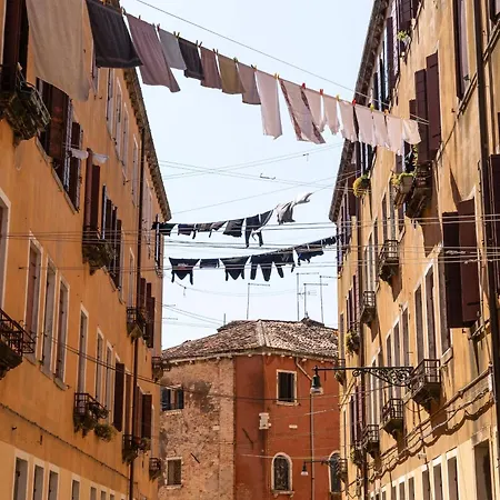 Ca'lina Near Biennale *